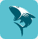 鲨鱼影视稳定版app