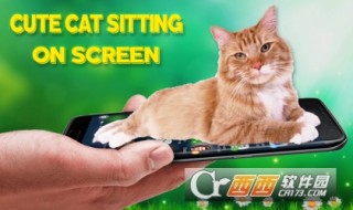 猫在屏幕上爬软件