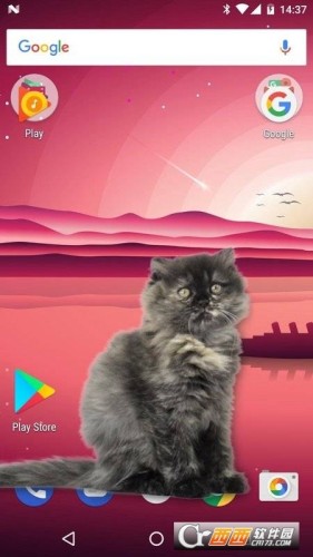 可爱猫动态屏幕(Cat