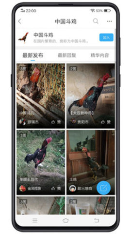中国斗鸡论坛手机版