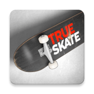 true skate中文版