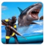 狩猎食人鲨