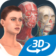 人体3D女性（Human