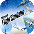 微软模拟飞行2020内测版